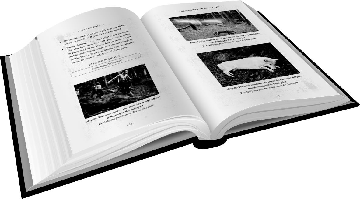 The Best Friend: Chronicles Of The Krugersdorp Killers - Image 5