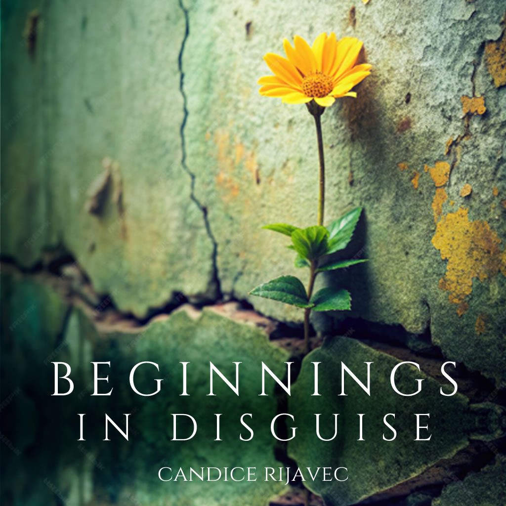 Beginnings Cover